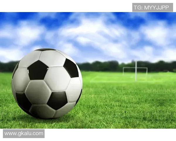 我就是足球场上的王者 谁能挑战我的巅峰地位